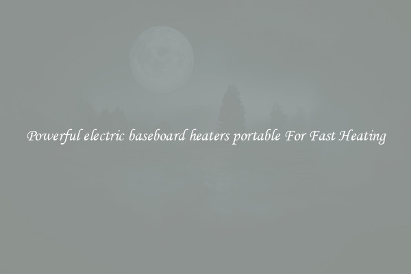 Powerful electric baseboard heaters portable For Fast Heating