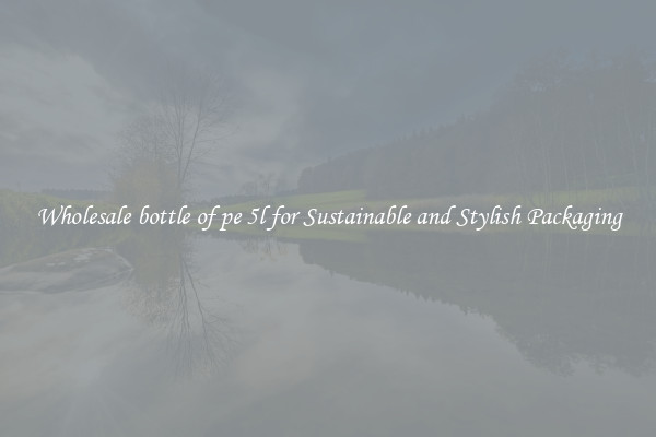 Wholesale bottle of pe 5l for Sustainable and Stylish Packaging