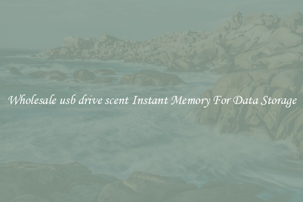 Wholesale usb drive scent Instant Memory For Data Storage