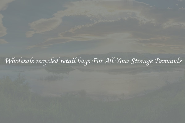 Wholesale recycled retail bags For All Your Storage Demands