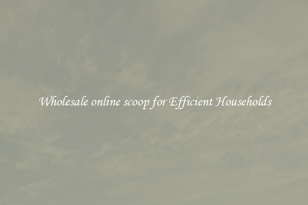 Wholesale online scoop for Efficient Households