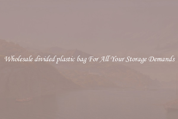 Wholesale divided plastic bag For All Your Storage Demands