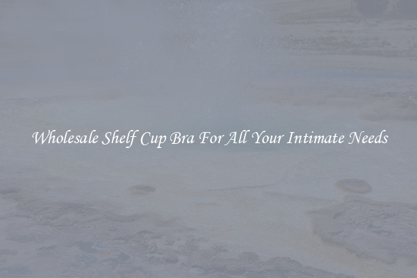 Wholesale Shelf Cup Bra For All Your Intimate Needs