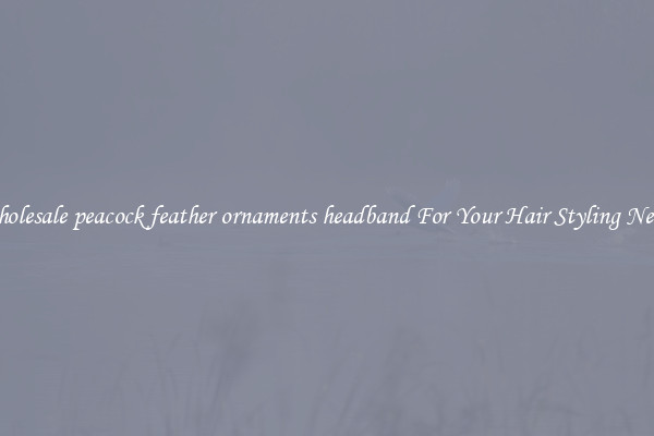 Wholesale peacock feather ornaments headband For Your Hair Styling Needs