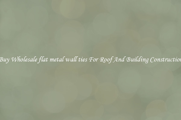 Buy Wholesale flat metal wall ties For Roof And Building Construction