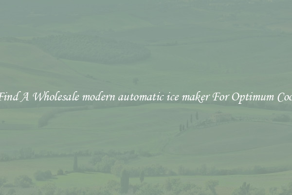 Find A Wholesale modern automatic ice maker For Optimum Cool