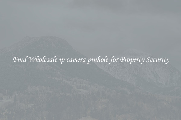 Find Wholesale ip camera pinhole for Property Security
