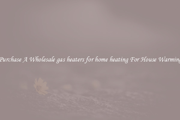 Purchase A Wholesale gas heaters for home heating For House Warming