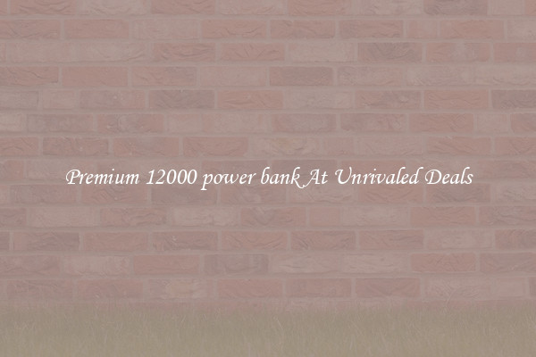 Premium 12000 power bank At Unrivaled Deals