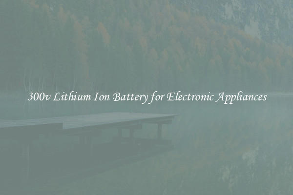 300v Lithium Ion Battery for Electronic Appliances