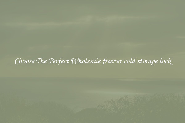 Choose The Perfect Wholesale freezer cold storage lock