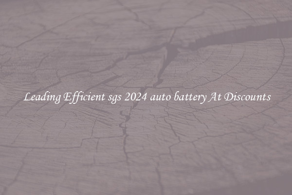 Leading Efficient sgs 2024 auto battery At Discounts