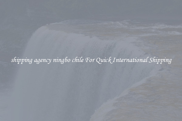 shipping agency ningbo chile For Quick International Shipping