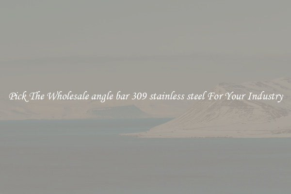 Pick The Wholesale angle bar 309 stainless steel For Your Industry