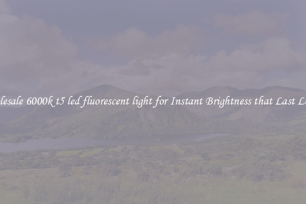 Wholesale 6000k t5 led fluorescent light for Instant Brightness that Last Longer