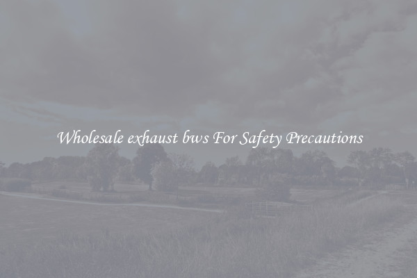 Wholesale exhaust bws For Safety Precautions
