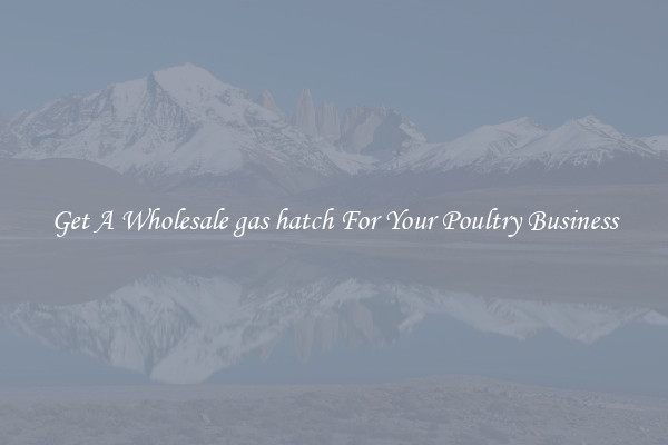 Get A Wholesale gas hatch For Your Poultry Business