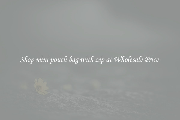 Shop mini pouch bag with zip at Wholesale Price 