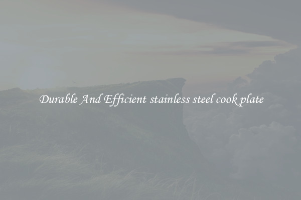 Durable And Efficient stainless steel cook plate