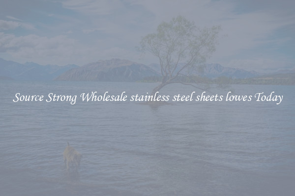 Source Strong Wholesale stainless steel sheets lowes Today